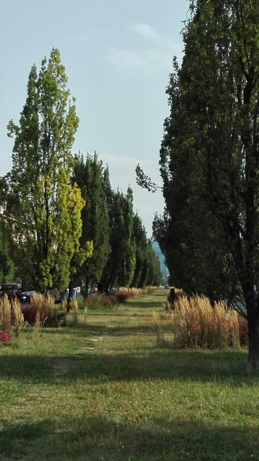 Apartament Krakowski Styl Екстериор снимка